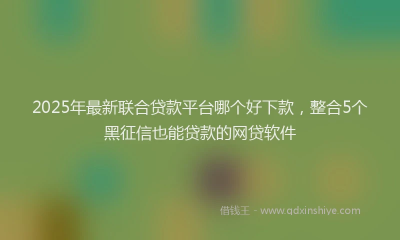 2025年最新联合贷款平台哪个好下款，整合5个黑征信也能贷款的网贷软件