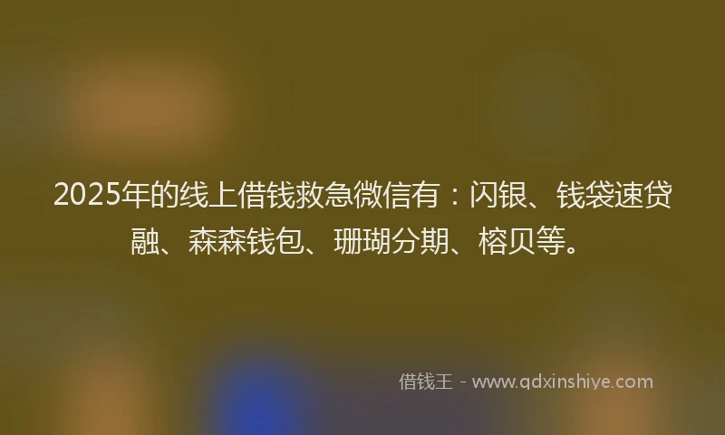 2025年的线上借钱救急微信有：闪银、钱袋速贷融、森森钱包、珊瑚分期、榕贝等。