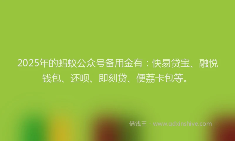 2025年的蚂蚁公众号备用金有：快易贷宝、融悦钱包、还呗、即刻贷、便荔卡包等。