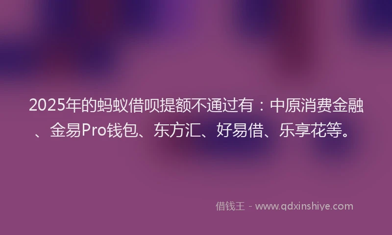2025年的蚂蚁借呗提额不通过有：中原消费金融、金易Pro钱包、东方汇、好易借、乐享花等。