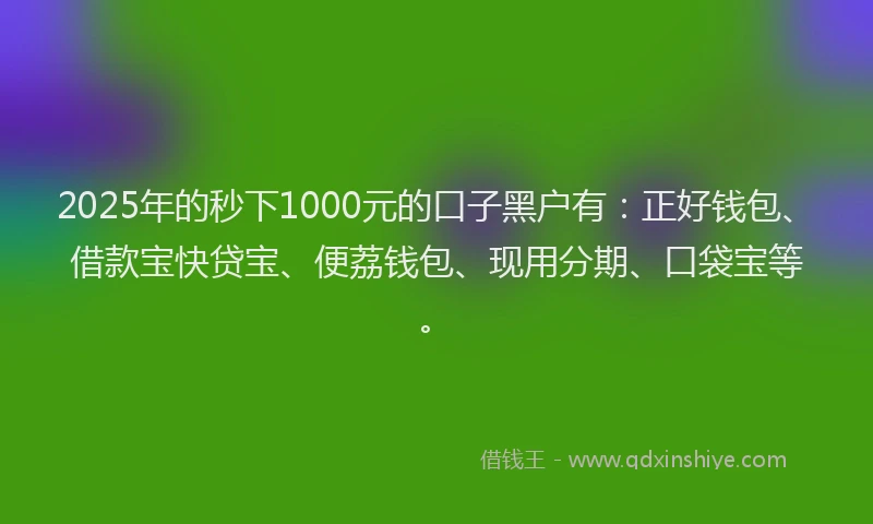 2025年的秒下1000元的口子黑户有：正好钱包、借款宝快贷宝、便荔钱包、现用分期、口袋宝等。