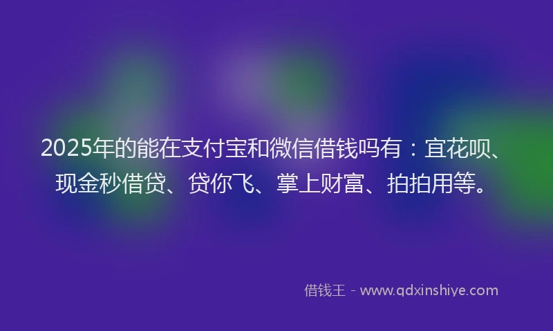 2025年的能在支付宝和微信借钱吗有：宜花呗、现金秒借贷、贷你飞、掌上财富、拍拍用等。