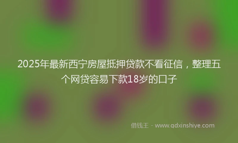 2025年最新西宁房屋抵押贷款不看征信，整理五个网贷容易下款18岁的口子