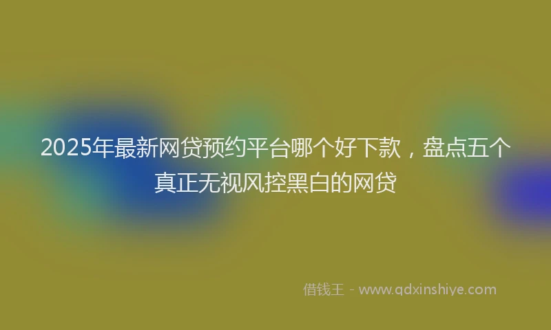 2025年最新网贷预约平台哪个好下款，盘点五个真正无视风控黑白的网贷