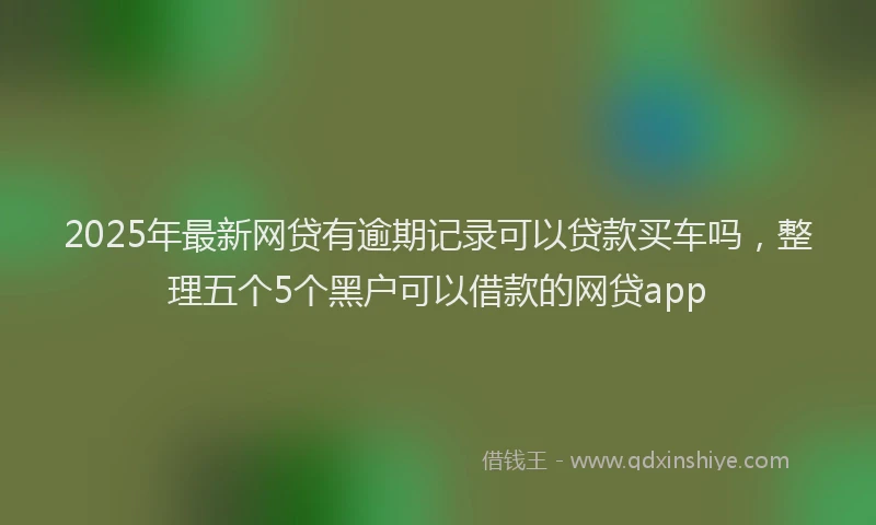 2025年最新网贷有逾期记录可以贷款买车吗，整理五个5个黑户可以借款的网贷app