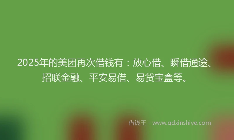 2025年的美团再次借钱有：放心借、瞬借通途、招联金融、平安易借、易贷宝盒等。