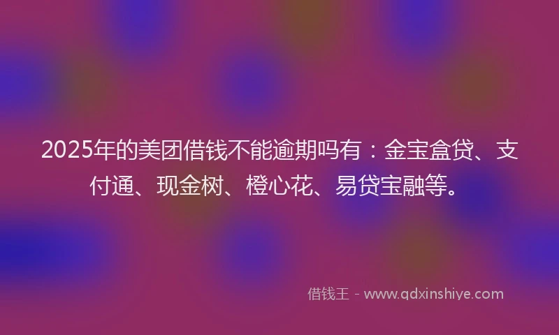 2025年的美团借钱不能逾期吗有：金宝盒贷、支付通、现金树、橙心花、易贷宝融等。