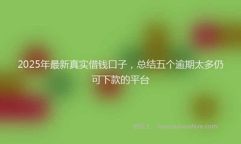 2025年最新真实借钱口子，总结五个逾期太多仍可下款的平台