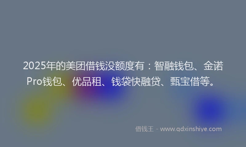 2025年的美团借钱没额度有：智融钱包、金诺Pro钱包、优品租、钱袋快融贷、甄宝借等。