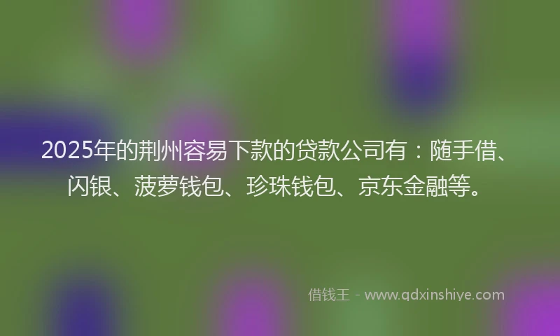 2025年的荆州容易下款的贷款公司有：随手借、闪银、菠萝钱包、珍珠钱包、京东金融等。