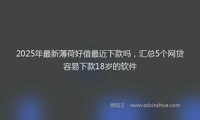 2025年最新薄荷好借最近下款吗，汇总5个网贷容易下款18岁的软件