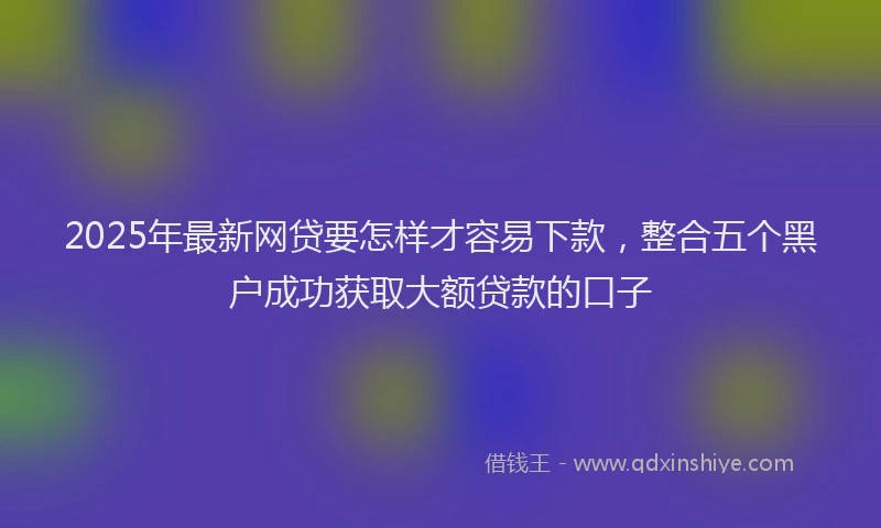 2025年最新网贷要怎样才容易下款，整合五个黑户成功获取大额贷款的口子