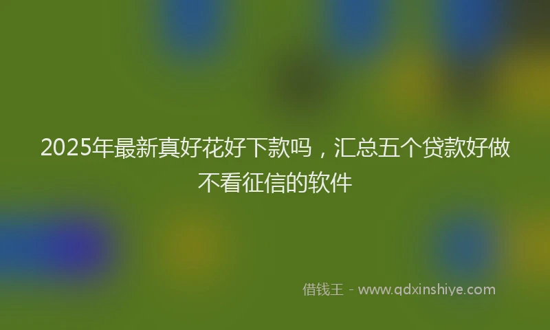 2025年最新真好花好下款吗，汇总五个贷款好做不看征信的软件