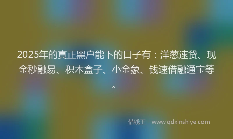 2025年的真正黑户能下的口子有：洋葱速贷、现金秒融易、积木盒子、小金象、钱速借融通宝等。