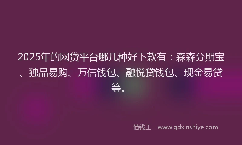 2025年的网贷平台哪几种好下款有：森森分期宝、独品易购、万信钱包、融悦贷钱包、现金易贷等。