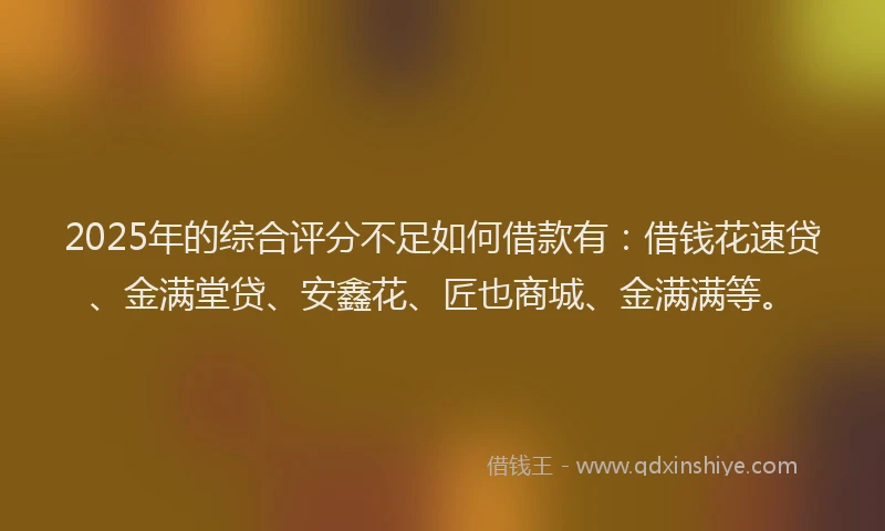 2025年的综合评分不足如何借款有：借钱花速贷、金满堂贷、安鑫花、匠也商城、金满满等。