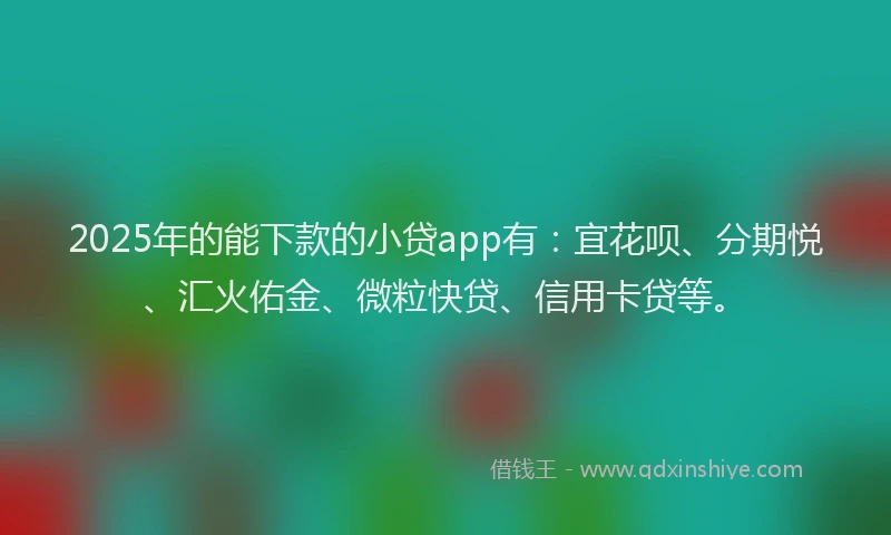 2025年的能下款的小贷app有：宜花呗、分期悦、汇火佑金、微粒快贷、信用卡贷等。