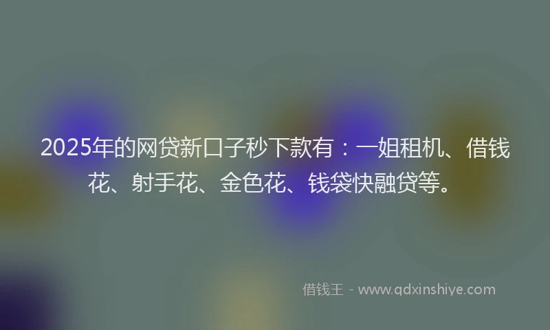 2025年的网贷新口子秒下款有：一姐租机、借钱花、射手花、金色花、钱袋快融贷等。
