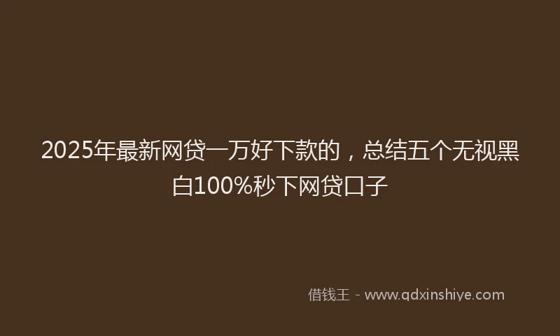 2025年最新网贷一万好下款的，总结五个无视黑白100%秒下网贷口子