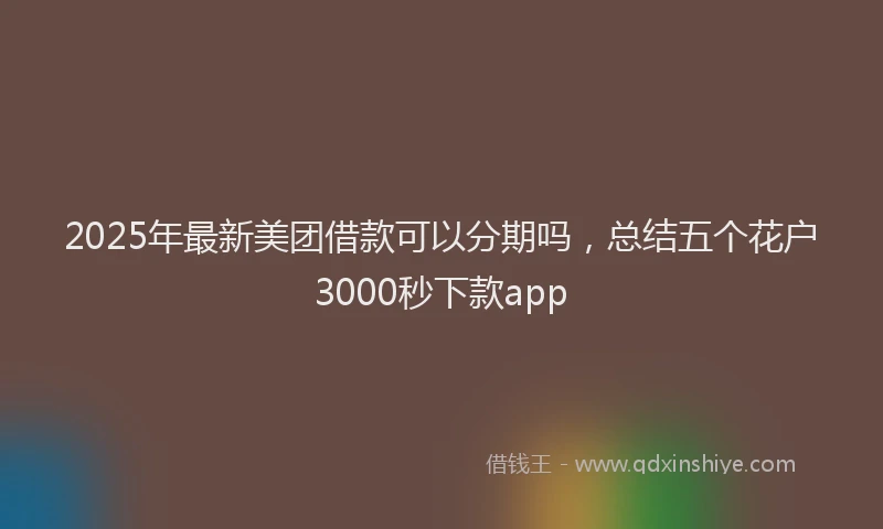 2025年最新美团借款可以分期吗，总结五个花户3000秒下款app