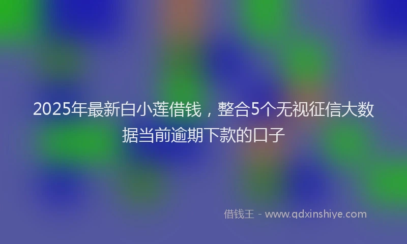 2025年最新白小莲借钱，整合5个无视征信大数据当前逾期下款的口子