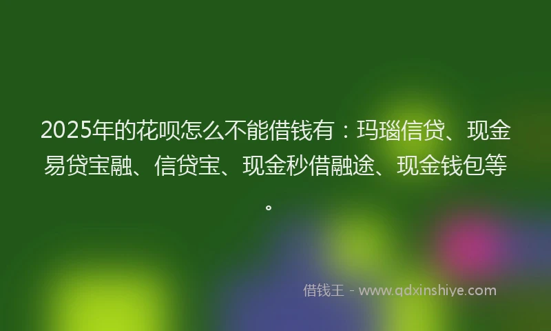 2025年的花呗怎么不能借钱有：玛瑙信贷、现金易贷宝融、信贷宝、现金秒借融途、现金钱包等。