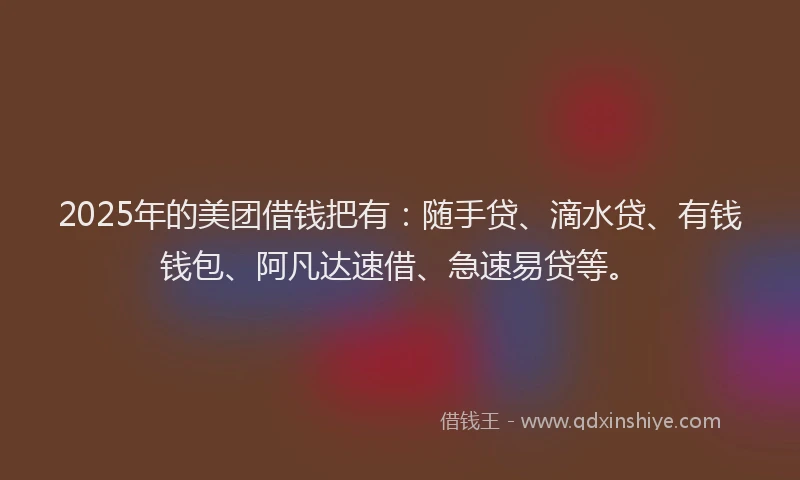 2025年的美团借钱把有：随手贷、滴水贷、有钱钱包、阿凡达速借、急速易贷等。