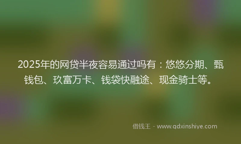2025年的网贷半夜容易通过吗有：悠悠分期、甄钱包、玖富万卡、钱袋快融途、现金骑士等。