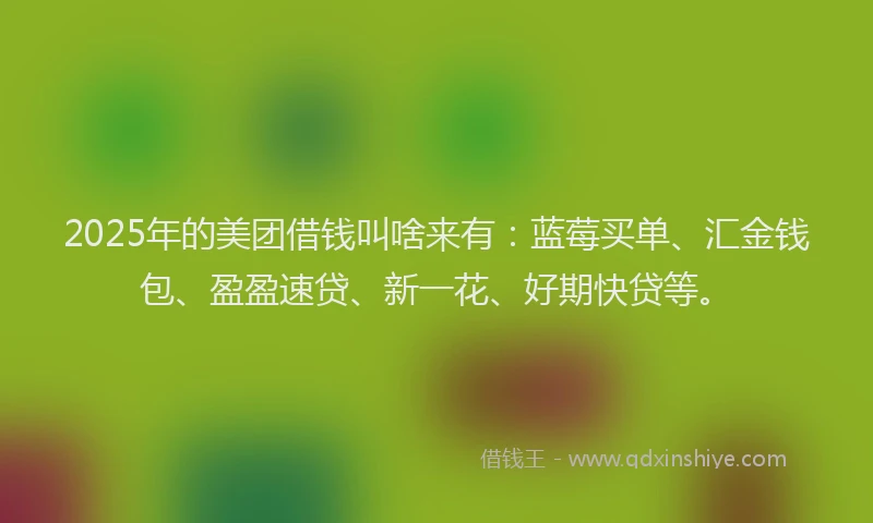 2025年的美团借钱叫啥来有：蓝莓买单、汇金钱包、盈盈速贷、新一花、好期快贷等。
