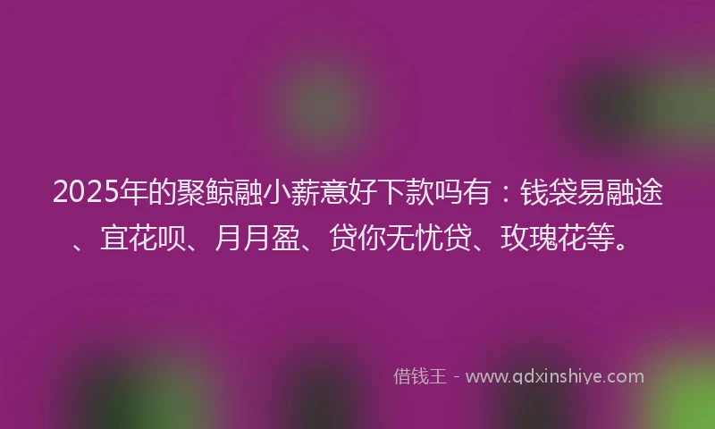 2025年的聚鲸融小薪意好下款吗有：钱袋易融途、宜花呗、月月盈、贷你无忧贷、玫瑰花等。
