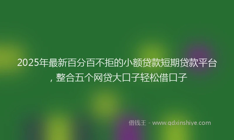 2025年最新百分百不拒的小额贷款短期贷款平台，整合五个网贷大口子轻松借口子
