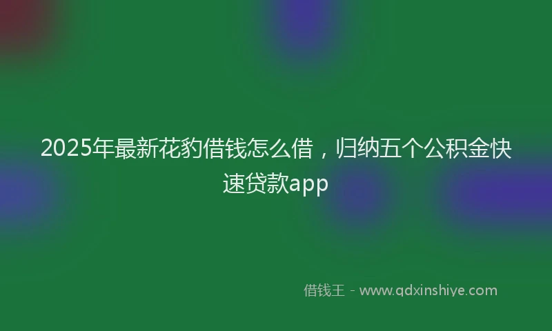 2025年最新花豹借钱怎么借，归纳五个公积金快速贷款app