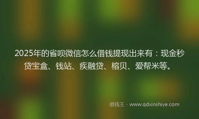 2025年的省呗微信怎么借钱提现出来有：现金秒贷宝盒、钱站、疾融贷、榕贝、爱帮米等。