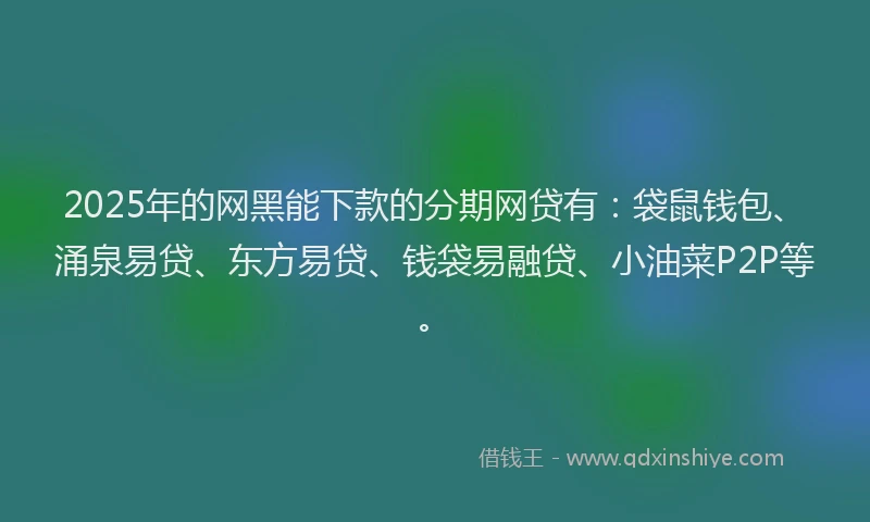 2025年的网黑能下款的分期网贷有：袋鼠钱包、涌泉易贷、东方易贷、钱袋易融贷、小油菜P2P等。