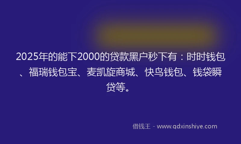 2025年的能下2000的贷款黑户秒下有：时时钱包、福瑞钱包宝、麦凯旋商城、快鸟钱包、钱袋瞬贷等。