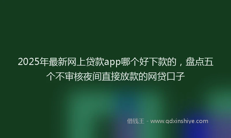 2025年最新网上贷款app哪个好下款的，盘点五个不审核夜间直接放款的网贷口子