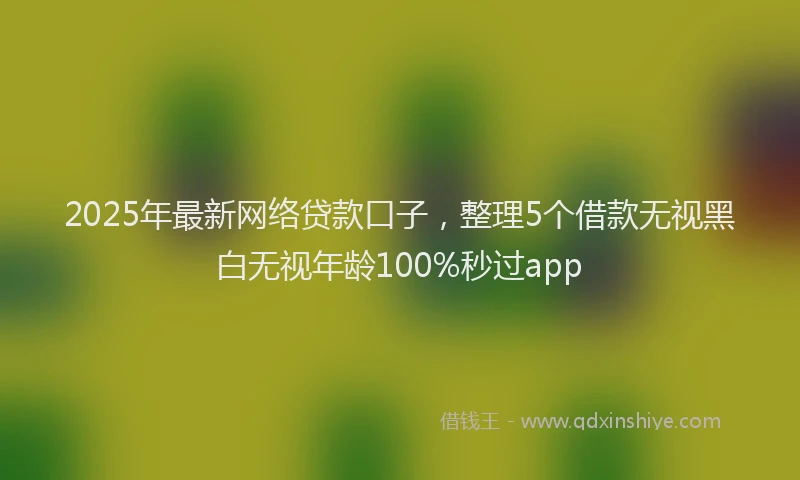2025年最新网络贷款口子，整理5个借款无视黑白无视年龄100%秒过app