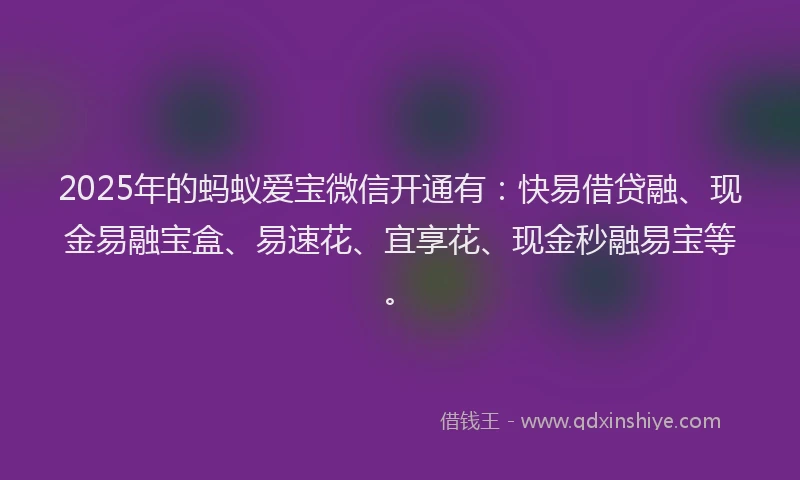 2025年的蚂蚁爱宝微信开通有：快易借贷融、现金易融宝盒、易速花、宜享花、现金秒融易宝等。