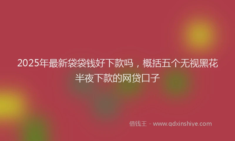 2025年最新袋袋钱好下款吗，概括五个无视黑花半夜下款的网贷口子