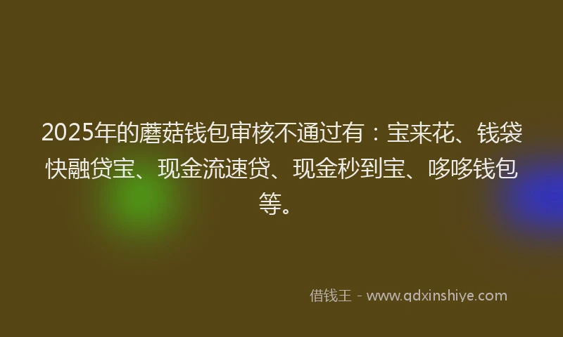 2025年的蘑菇钱包审核不通过有：宝来花、钱袋快融贷宝、现金流速贷、现金秒到宝、哆哆钱包等。