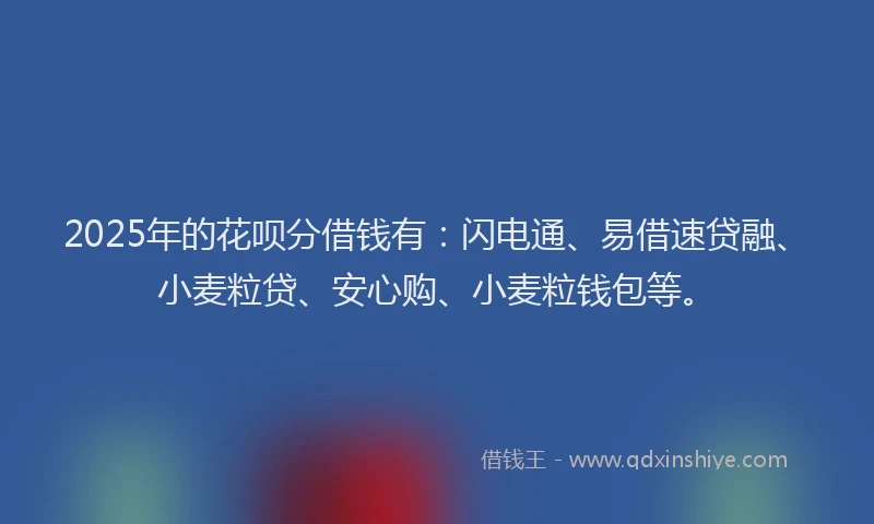 2025年的花呗分借钱有：闪电通、易借速贷融、小麦粒贷、安心购、小麦粒钱包等。