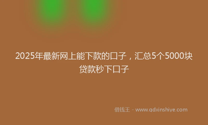 2025年最新网上能下款的口子，汇总5个5000块贷款秒下口子