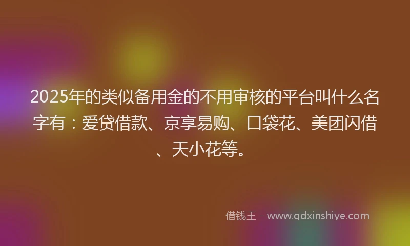 2025年的类似备用金的不用审核的平台叫什么名字有：爱贷借款、京享易购、口袋花、美团闪借、天小花等。