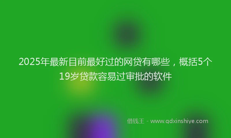 2025年最新目前最好过的网贷有哪些，概括5个19岁贷款容易过审批的软件