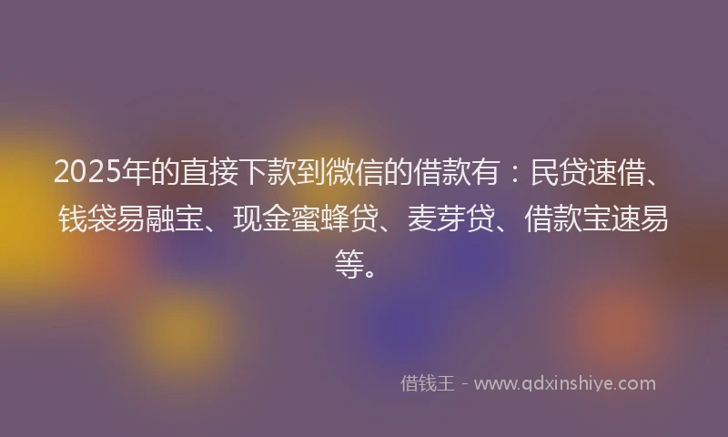 2025年的直接下款到微信的借款有：民贷速借、钱袋易融宝、现金蜜蜂贷、麦芽贷、借款宝速易等。