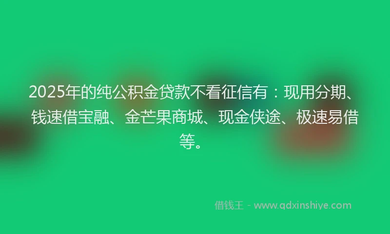 2025年的纯公积金贷款不看征信有：现用分期、钱速借宝融、金芒果商城、现金侠途、极速易借等。