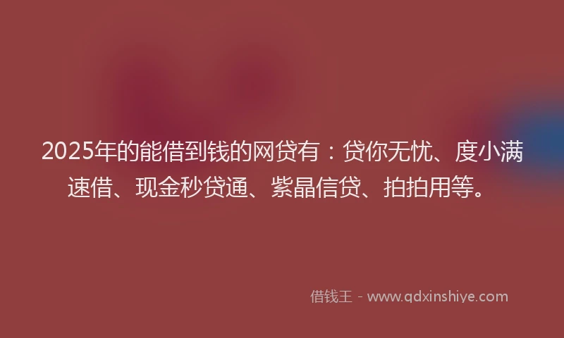 2025年的能借到钱的网贷有：贷你无忧、度小满速借、现金秒贷通、紫晶信贷、拍拍用等。