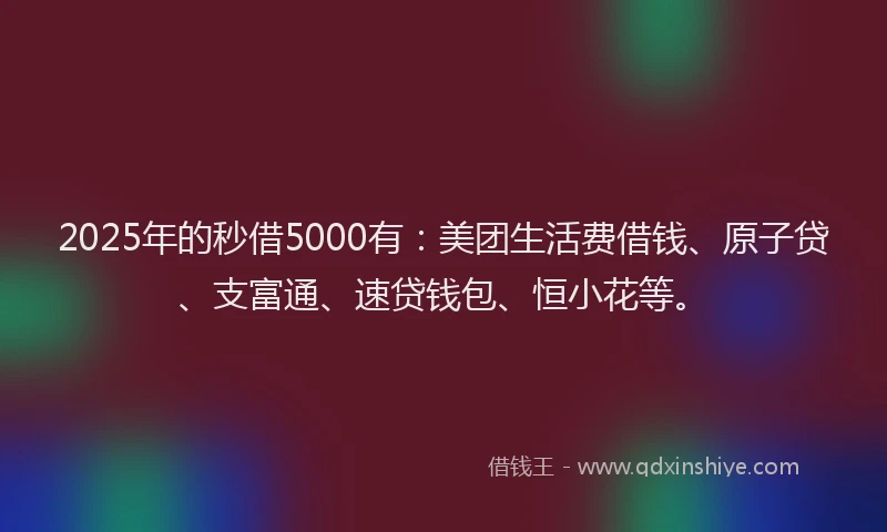 2025年的秒借5000有：美团生活费借钱、原子贷、支富通、速贷钱包、恒小花等。
