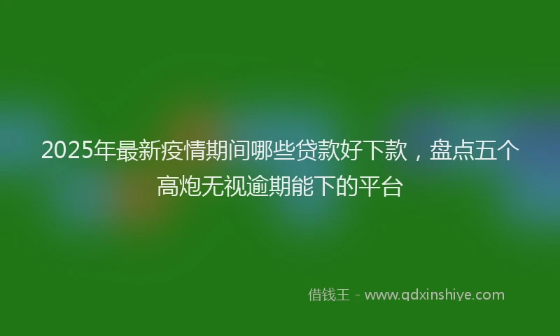 2025年最新疫情期间哪些贷款好下款，盘点五个高炮无视逾期能下的平台