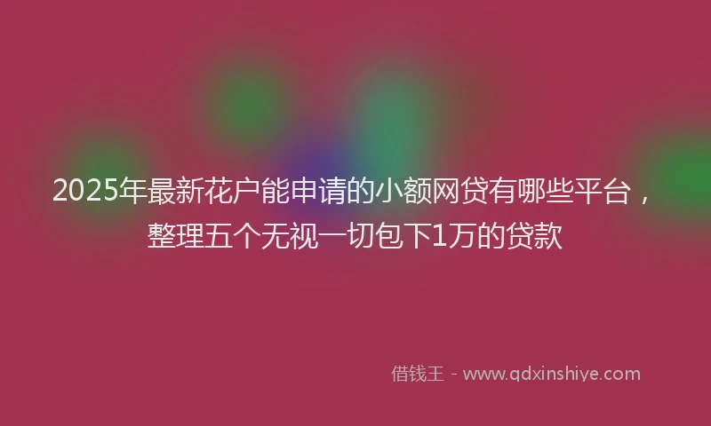 2025年最新花户能申请的小额网贷有哪些平台，整理五个无视一切包下1万的贷款